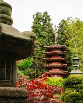 4) pagoda-and-stone-lantern-in-japanese-garden