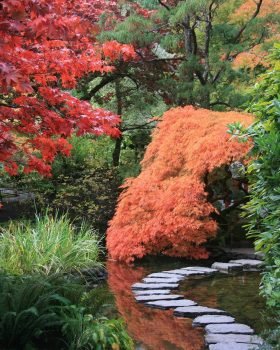 7) japanese-garden